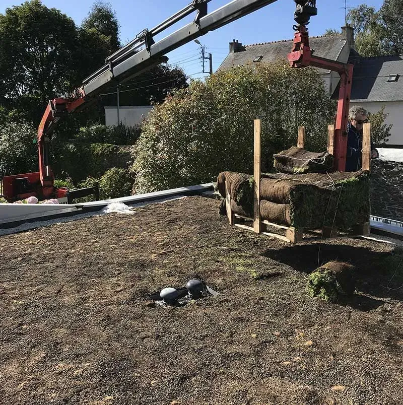 toit-vegetalisé-installation